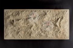 STONES_K9A4663_1