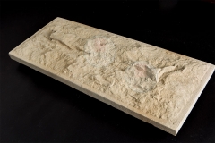 STONES_K9A4664