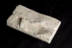 STONES_K9A4685