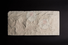 STONES_K9A4824