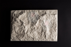 STONES_K9A4843