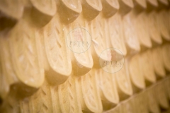 STONES_K9A5083