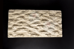 STONES_K9A5153