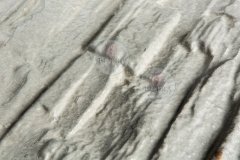 STONES_K9A5174