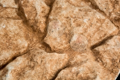 STONES_K9A5179