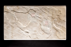 STONES_K9A5216