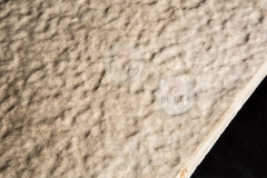 STONES_K9A5223