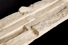 STONES_K9A5257