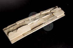 STONES_K9A5260